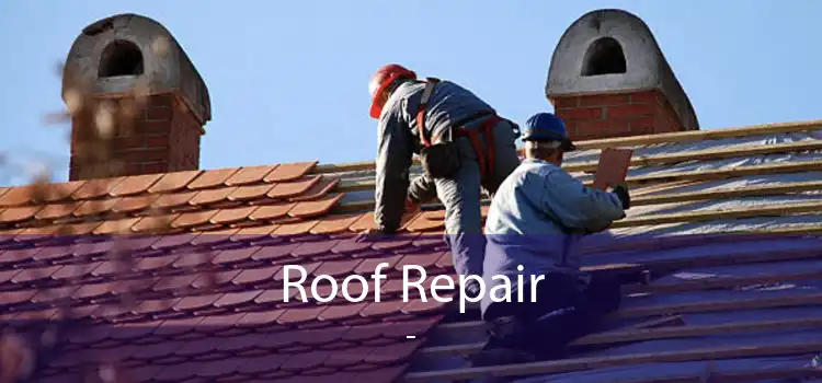 Roof Repair  - 