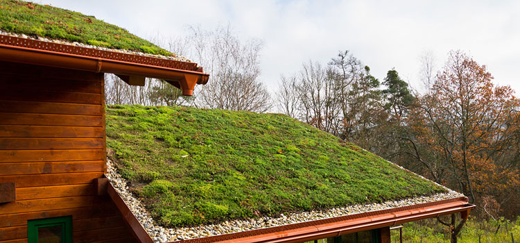 West Covina Residential Green Roof
